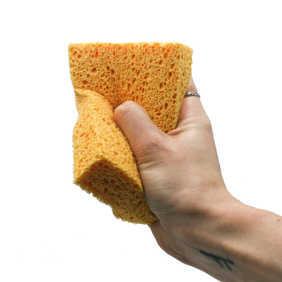 Compostable Sponges (Pack of 2)