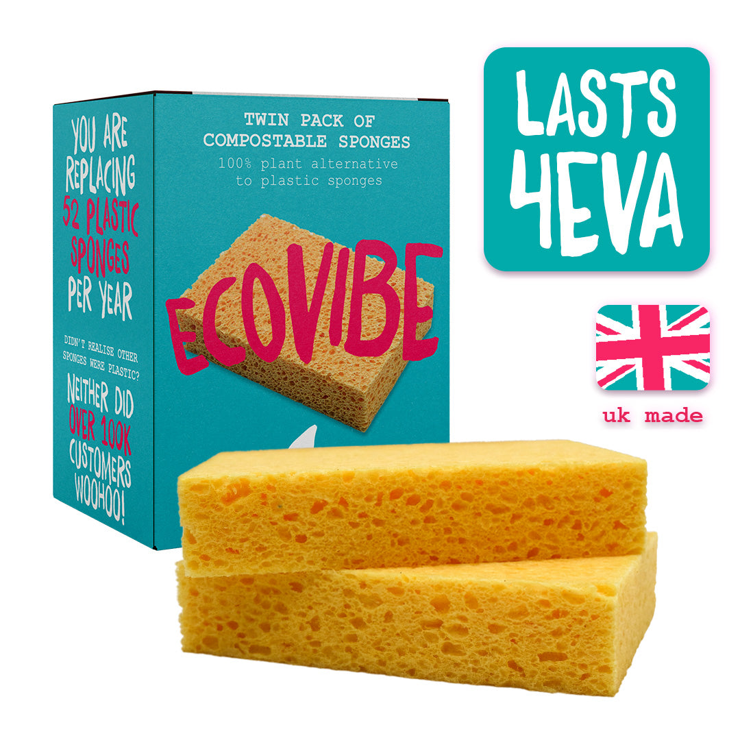 Compostable Sponges (Pack of 2)