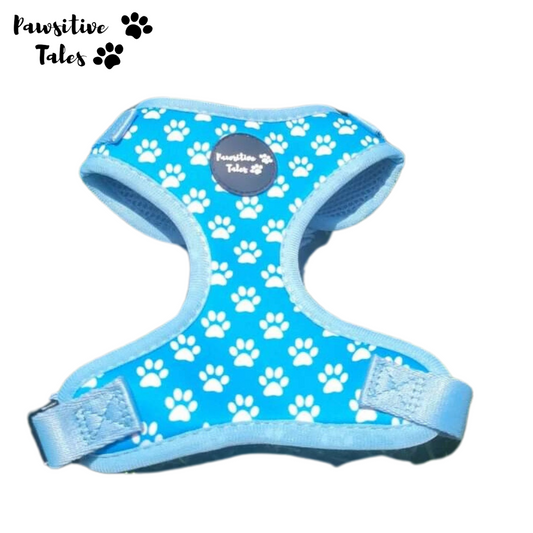 Dog Harness by Pawsitive Tales