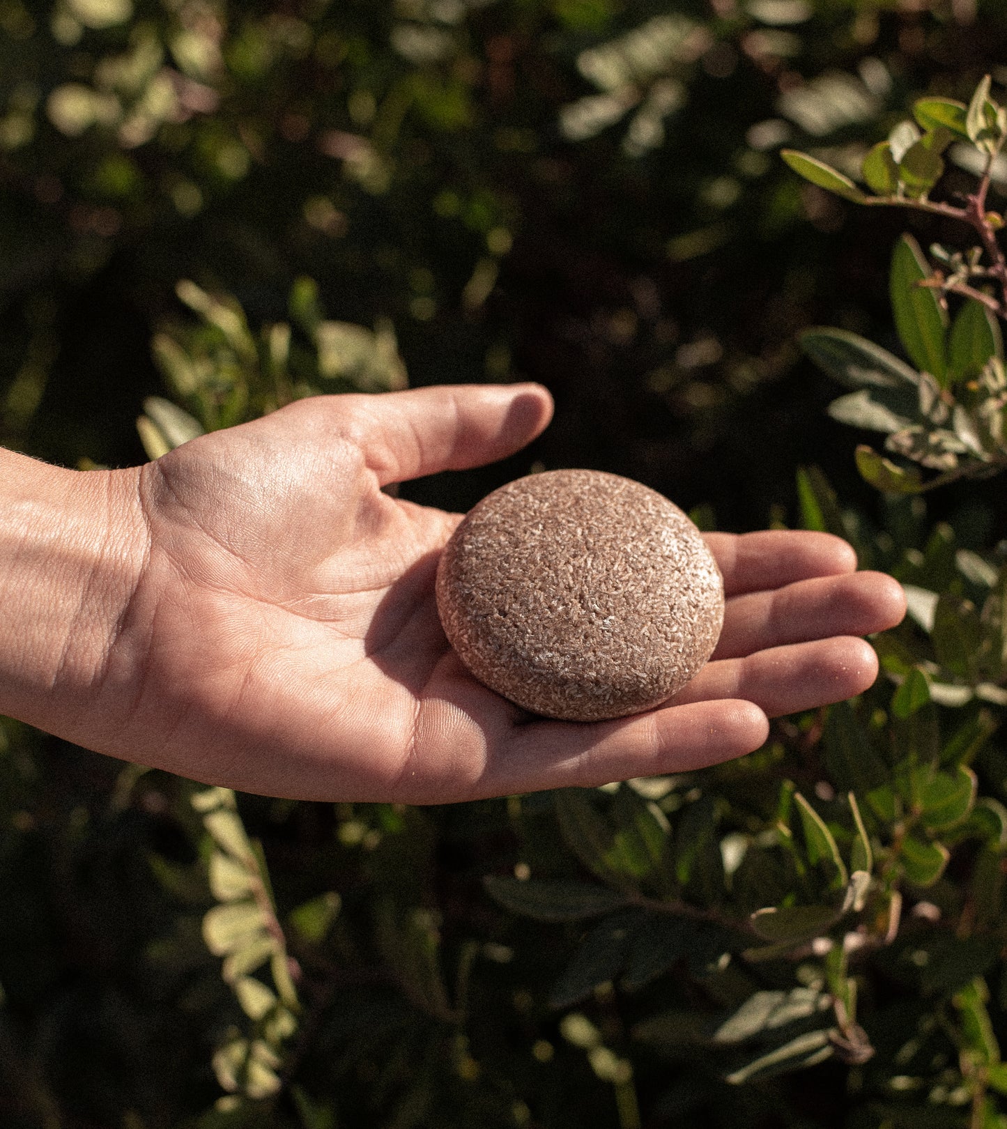 Chocolate Shampoo Bar by Lowh