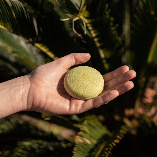 Herbal Shampoo Bar by Lowh