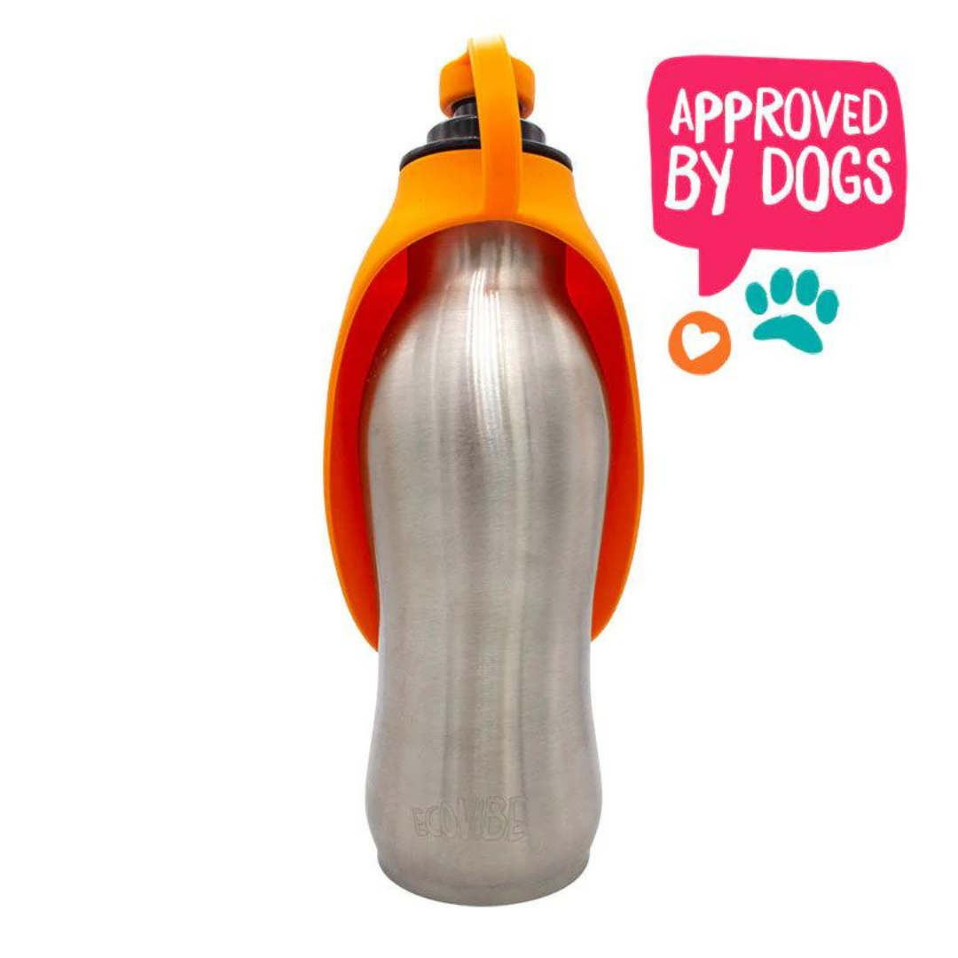 Dog Water Bottle